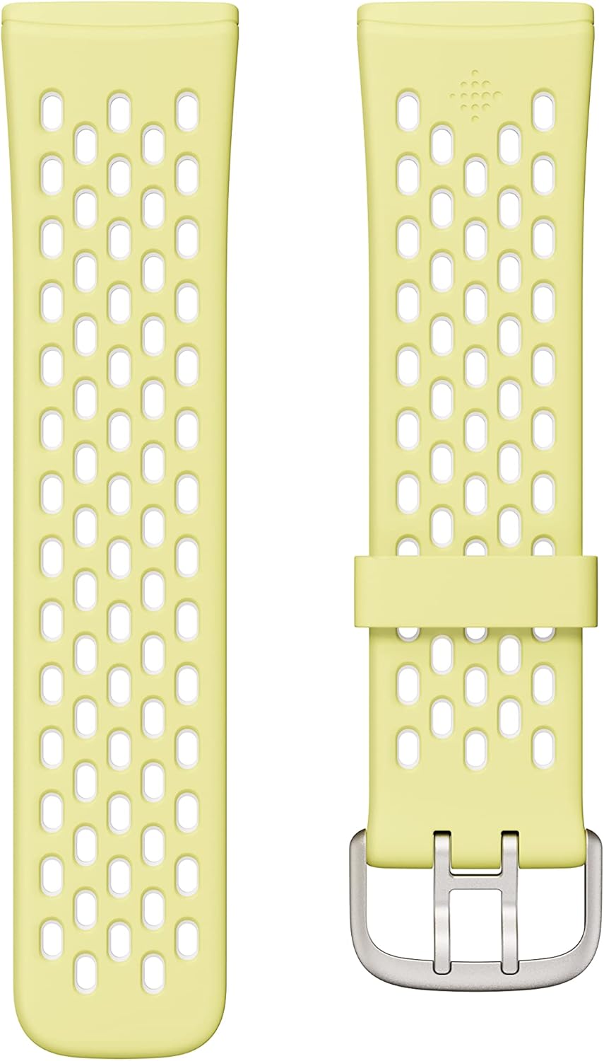 FitBit SportBand 24mmAttachFrost L