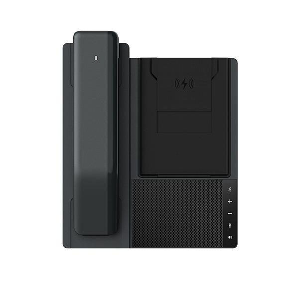 Fanvil DB20-H