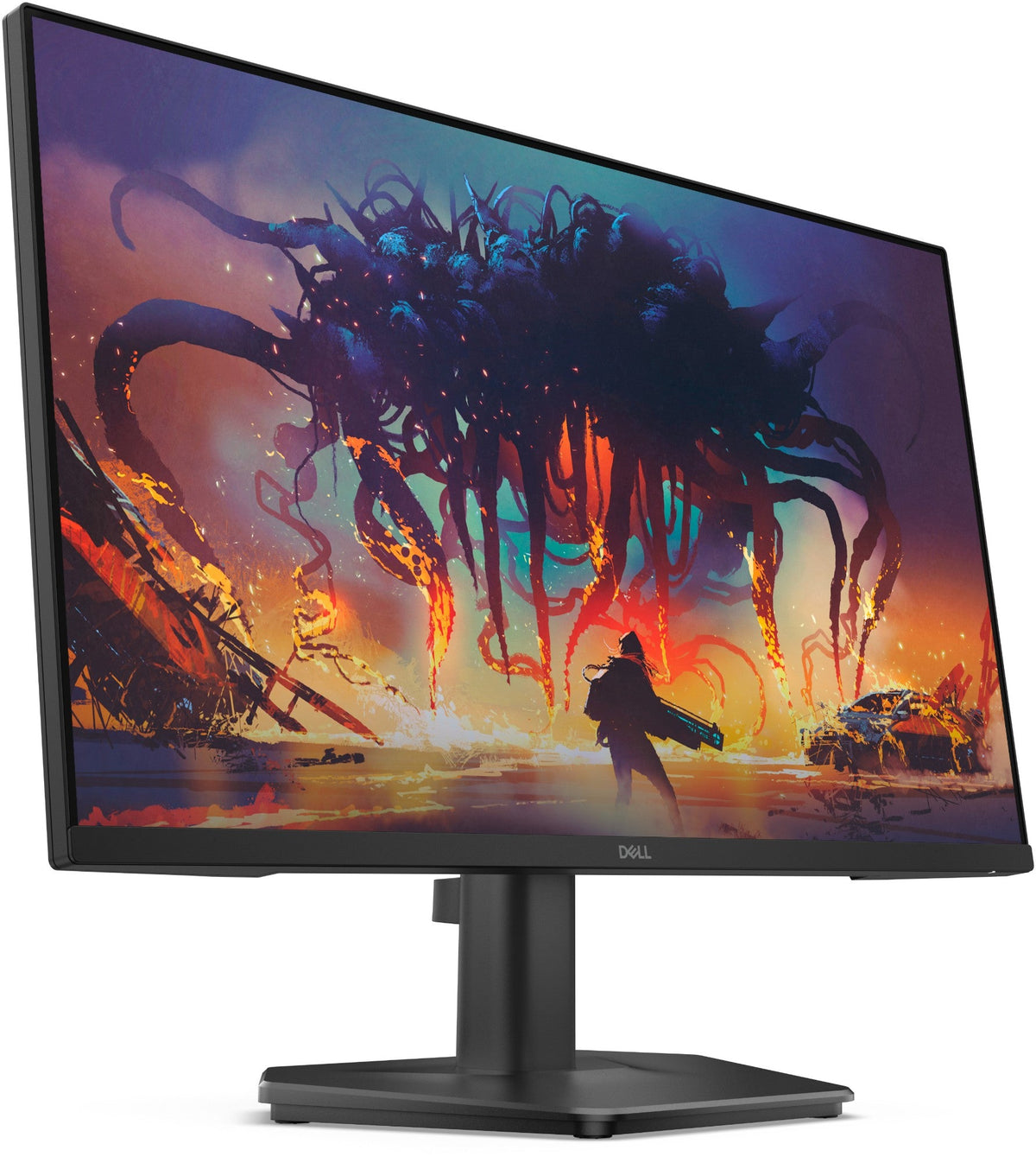 DELL 23.8 IPS MONITOR SE2425HG