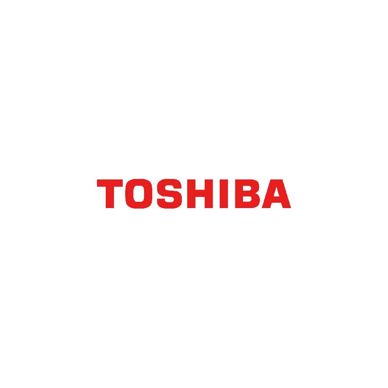 Toshiba 6TB N300 512MB Internal HDD Bulk