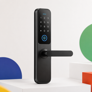 Smart Locks & Access Control