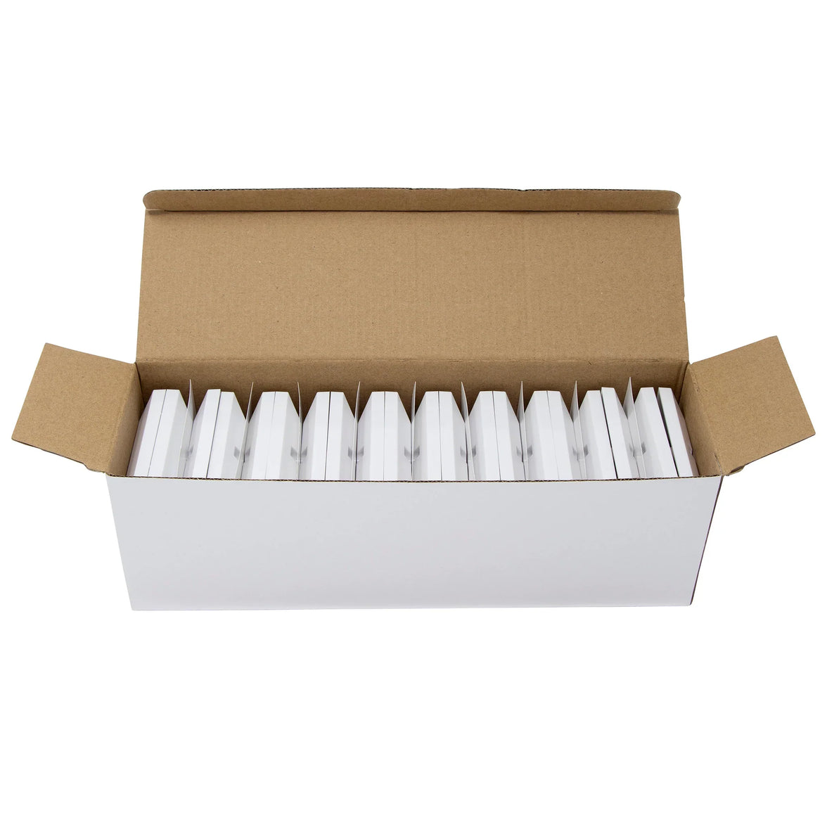 XeLAN 4 MOD BEVELLED F/PLATE PK20