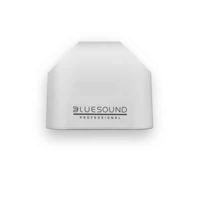 Bluesound Professional BSP125 Network Streaming Speaker, White