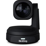 BirdDog MAX 4K PTZ Camera, Black