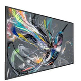 Philips 65BDL3511Q/02 65" 4K Q-Line Signage Display