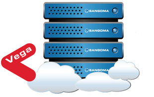 Sangoma Vega Enterprise SBC VM/Hybrid 100 Calls with Transcoding