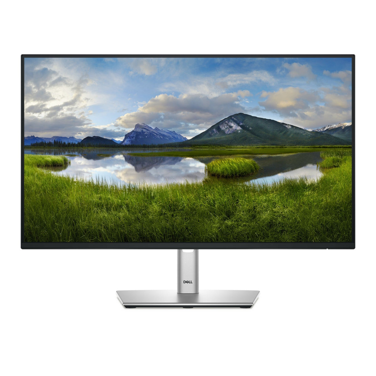 DELL 23.8 IPS MONITOR P2425HE