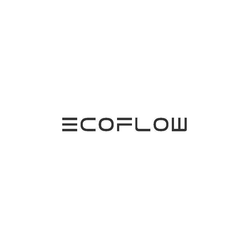 EcoFlow 60W Portable USB-C Solar Panel