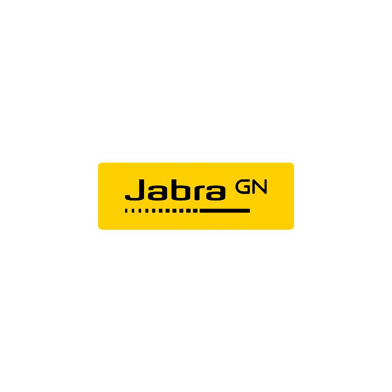JABRA EVOLVE 20 SE USB C/A STEREO MS