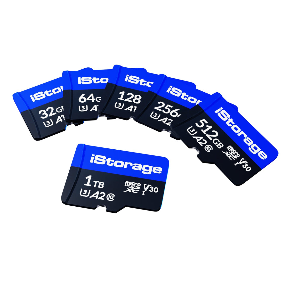 iStorage iStorage microSD Card 256GB x 3