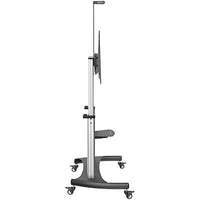 StarTech.com Mobile TV Stand