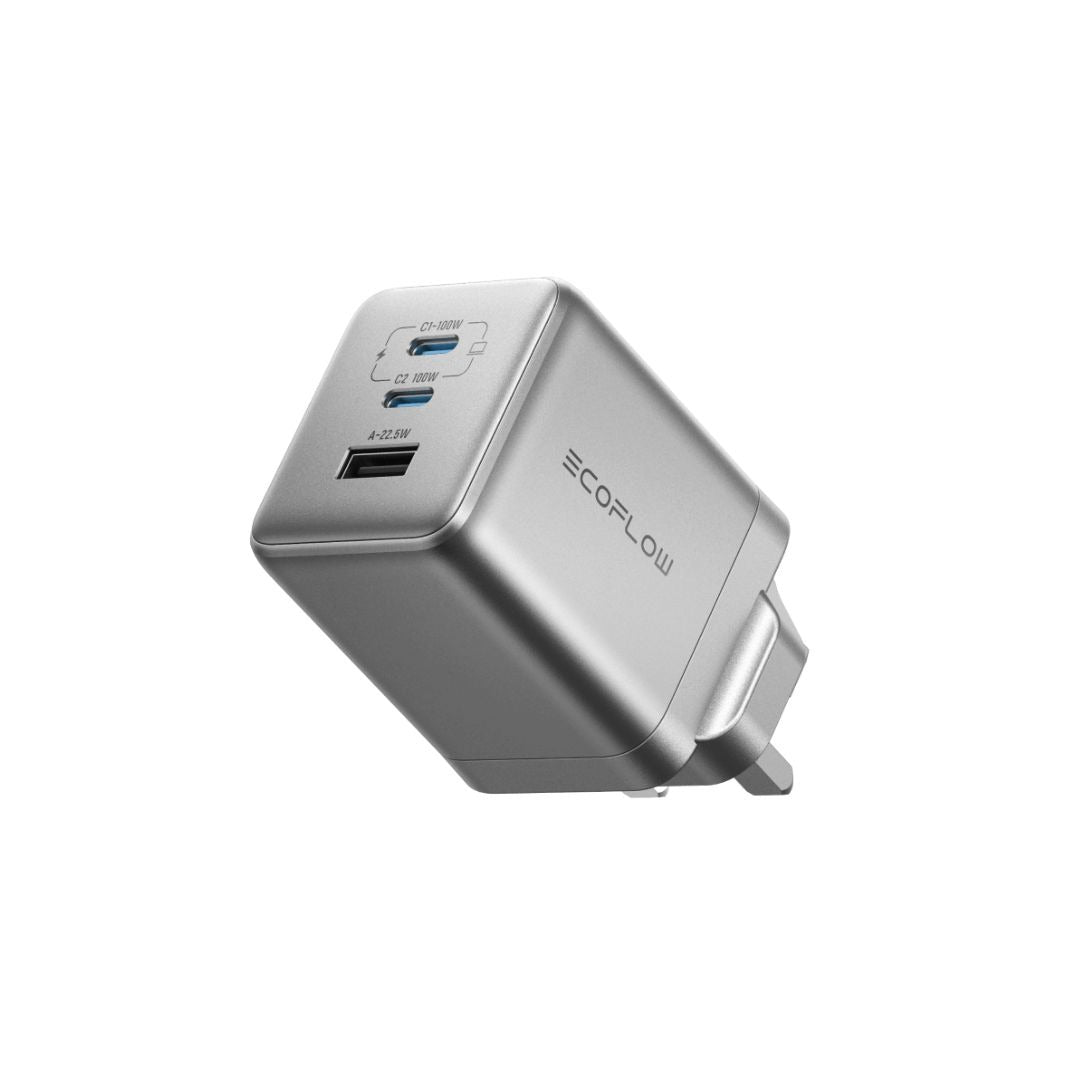 EcoFlow 100W Charger (No cable) EK